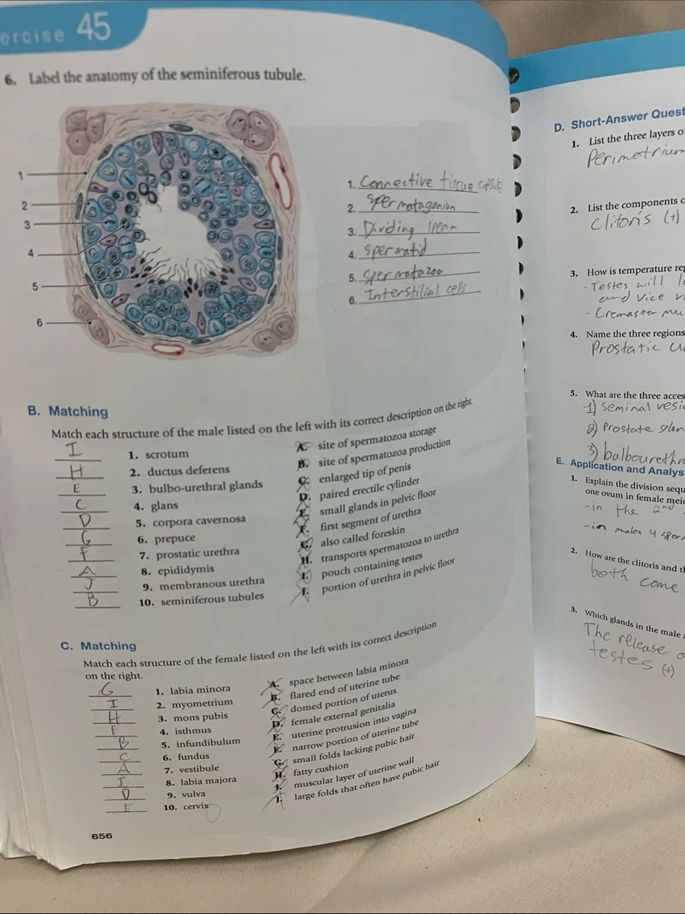 Pearson laboratory manual